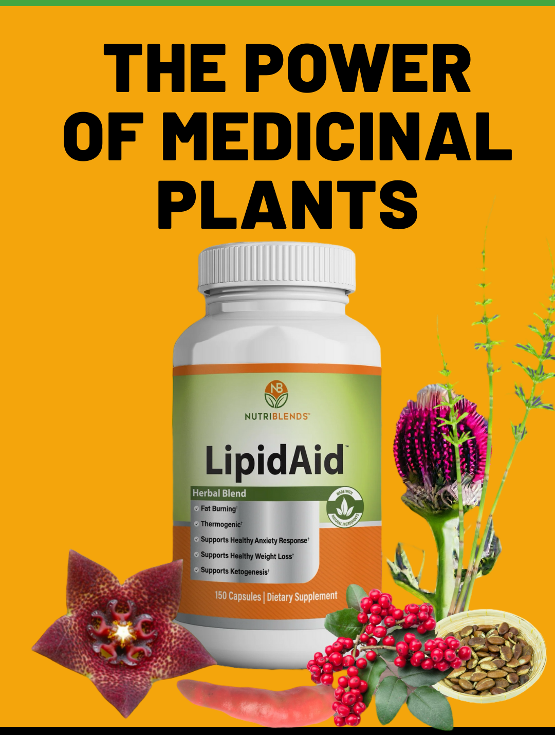 LipidAid - Glucose Support