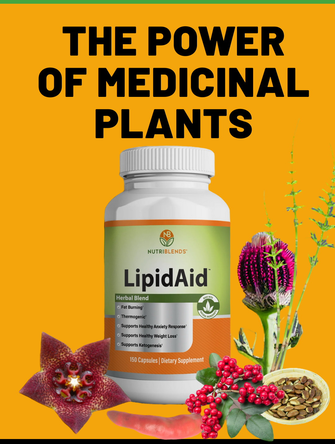 LipidAid - Blood Sugar Support & Balance